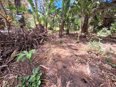 Prime Titled Lot Near the Beach in Paunch- Bocas del Toro - image 5