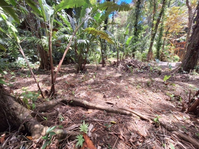 Prime Titled Lot Near the Beach in Paunch- Bocas del Toro - image 8