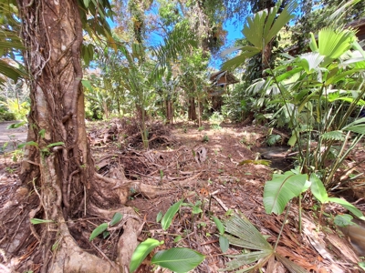 Prime Titled Lot Near the Beach in Paunch- Bocas del Toro - image 2