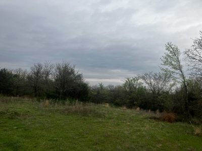 Introducing Ridgeview Estates Phase 2 Hilltop Lots - image 4