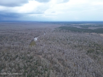 431± Acres with Calcasieu River Frontage in Calcasieu Parish - image 28