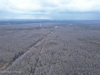 431± Acres with Calcasieu River Frontage in Calcasieu Parish - image 4
