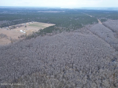 431± Acres with Calcasieu River Frontage in Calcasieu Parish - image 9
