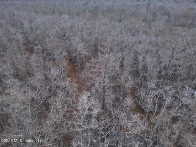 431± Acres with Calcasieu River Frontage in Calcasieu Parish - image 16
