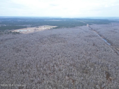 431± Acres with Calcasieu River Frontage in Calcasieu Parish - image 11