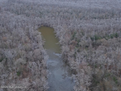431± Acres with Calcasieu River Frontage in Calcasieu Parish - image 24
