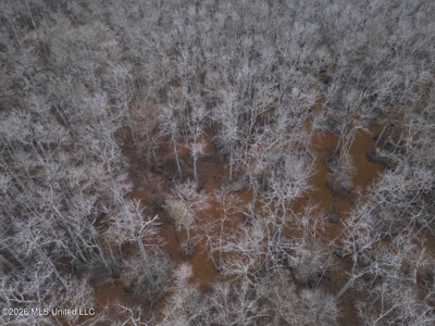 431± Acres with Calcasieu River Frontage in Calcasieu Parish - image 20