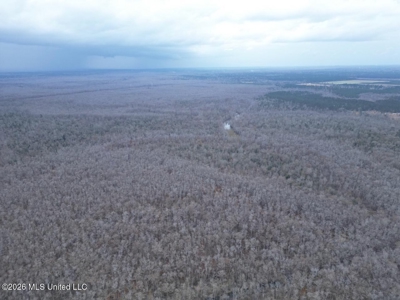 431± Acres with Calcasieu River Frontage in Calcasieu Parish - image 8