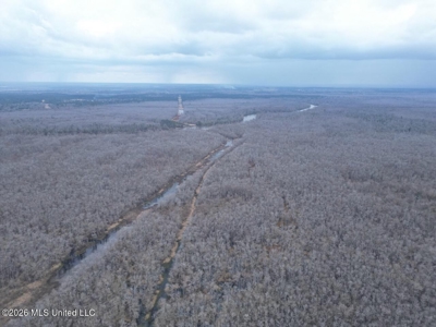 431± Acres with Calcasieu River Frontage in Calcasieu Parish - image 5