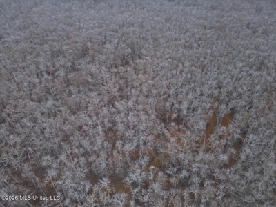 431± Acres with Calcasieu River Frontage in Calcasieu Parish - image 18