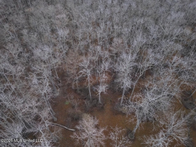 431± Acres with Calcasieu River Frontage in Calcasieu Parish - image 21