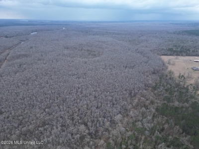 431± Acres with Calcasieu River Frontage in Calcasieu Parish - image 2