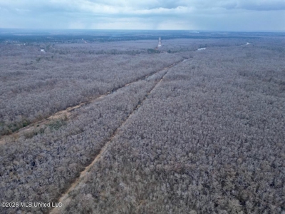 431± Acres with Calcasieu River Frontage in Calcasieu Parish - image 1