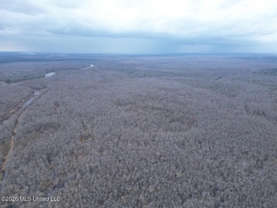 431± Acres with Calcasieu River Frontage in Calcasieu Parish - image 3