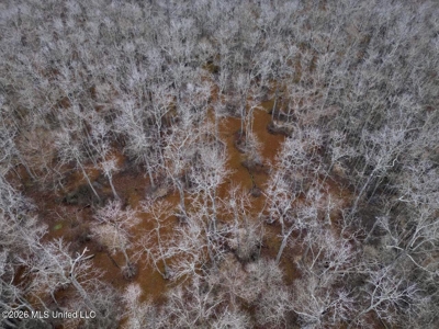 431± Acres with Calcasieu River Frontage in Calcasieu Parish - image 19