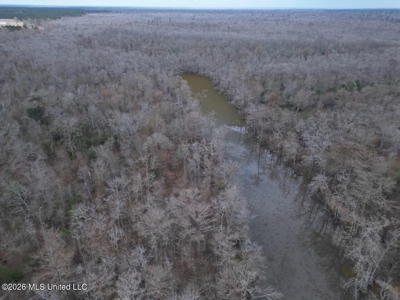 431± Acres with Calcasieu River Frontage in Calcasieu Parish - image 26