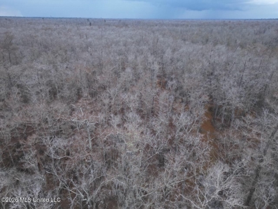 431± Acres with Calcasieu River Frontage in Calcasieu Parish - image 17