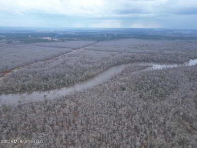 431± Acres with Calcasieu River Frontage in Calcasieu Parish - image 13
