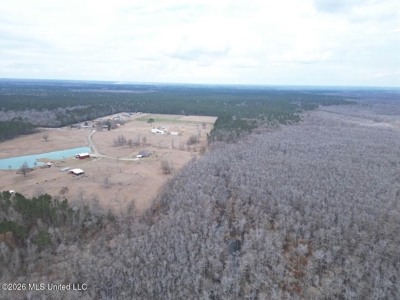 431± Acres with Calcasieu River Frontage in Calcasieu Parish - image 27