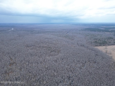 431± Acres with Calcasieu River Frontage in Calcasieu Parish - image 6
