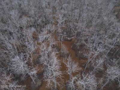 431± Acres with Calcasieu River Frontage in Calcasieu Parish - image 22