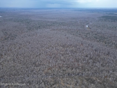431± Acres with Calcasieu River Frontage in Calcasieu Parish - image 10