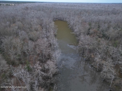 431± Acres with Calcasieu River Frontage in Calcasieu Parish - image 25