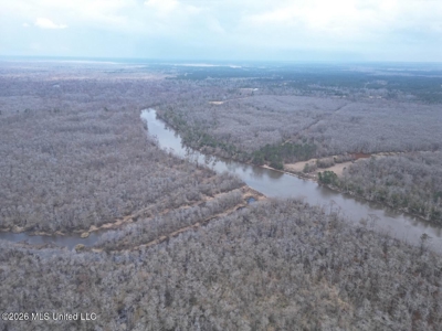 431± Acres with Calcasieu River Frontage in Calcasieu Parish - image 14