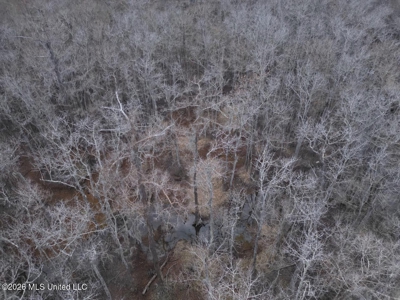 431± Acres with Calcasieu River Frontage in Calcasieu Parish - image 15