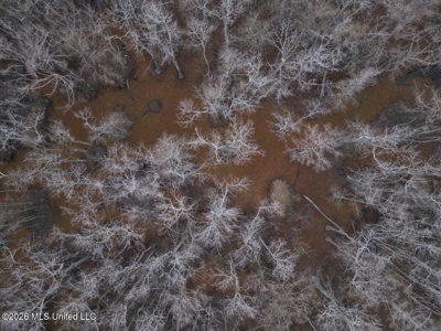 431± Acres with Calcasieu River Frontage in Calcasieu Parish - image 23