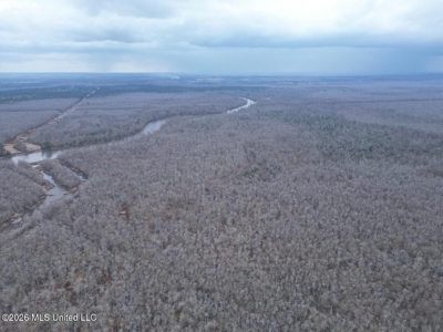 431± Acres with Calcasieu River Frontage in Calcasieu Parish - image 7