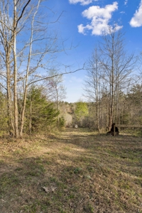 Country Home for Sale in Lewis County, Tennessee - image 45