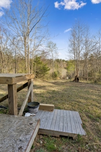 Country Home for Sale in Lewis County, Tennessee - image 44