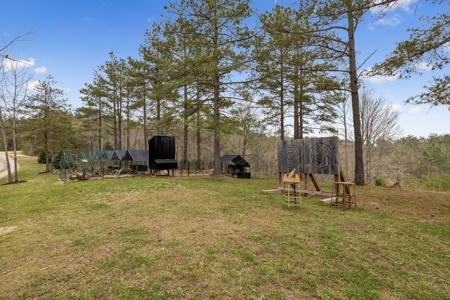 Country Home for Sale in Lewis County, Tennessee - image 38