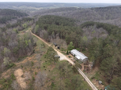 Country Home for Sale in Lewis County, Tennessee - image 1