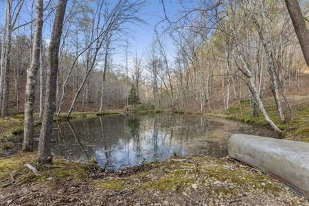 Country Home for Sale in Lewis County, Tennessee - image 46