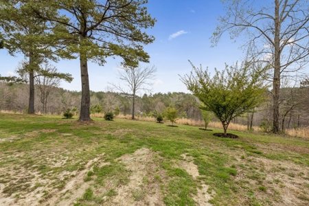 Country Home for Sale in Lewis County, Tennessee - image 42