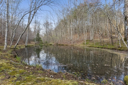 Country Home for Sale in Lewis County, Tennessee - image 47