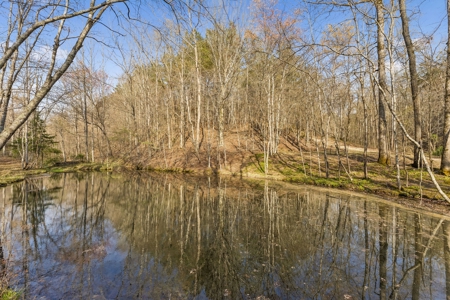 Country Home for Sale in Lewis County, Tennessee - image 48