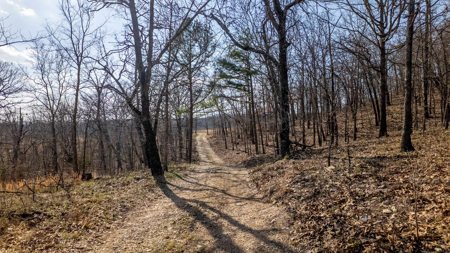 Vacant Land for sale in Douglas County | Missouri Ozarks - image 7
