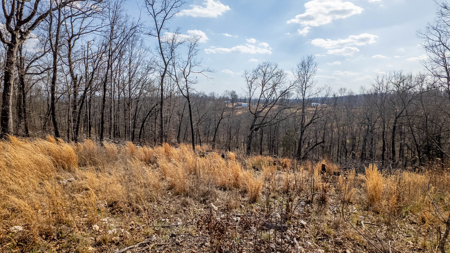 Vacant Land for sale in Douglas County | Missouri Ozarks - image 5