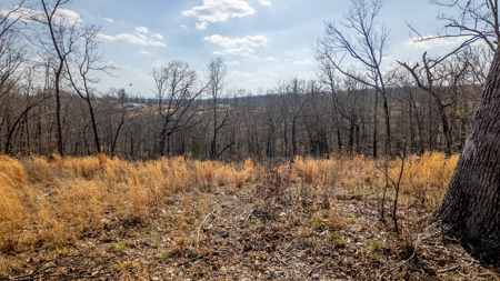 Vacant Land for sale in Douglas County | Missouri Ozarks - image 3