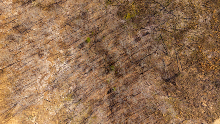 Vacant Land for sale in Douglas County | Missouri Ozarks - image 10