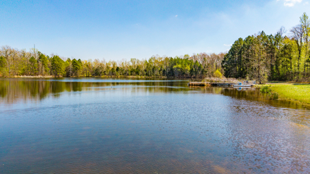 Mount Ida Arkansas Land, Lake, and Storage Business - image 4