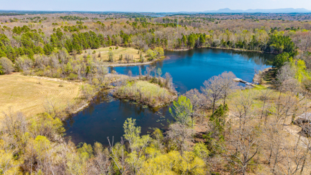 Mount Ida Arkansas Land, Lake, and Storage Business - image 19