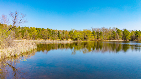 Mount Ida Arkansas Land, Lake, and Storage Business - image 3