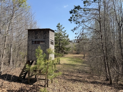 Cabin For Sale In Tn, Hunting, Storage, Shelter, Wooded - image 27