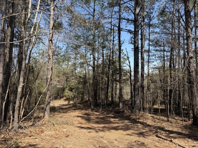 Cabin For Sale In Tn, Hunting, Storage, Shelter, Wooded - image 48
