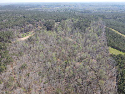 Cabin For Sale In Tn, Hunting, Storage, Shelter, Wooded - image 44