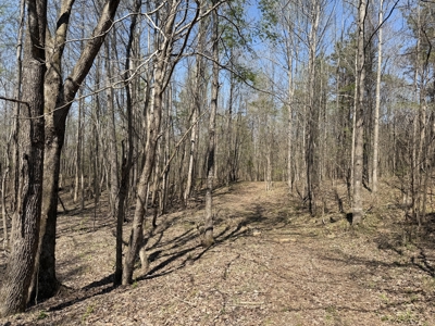 Cabin For Sale In Tn, Hunting, Storage, Shelter, Wooded - image 47